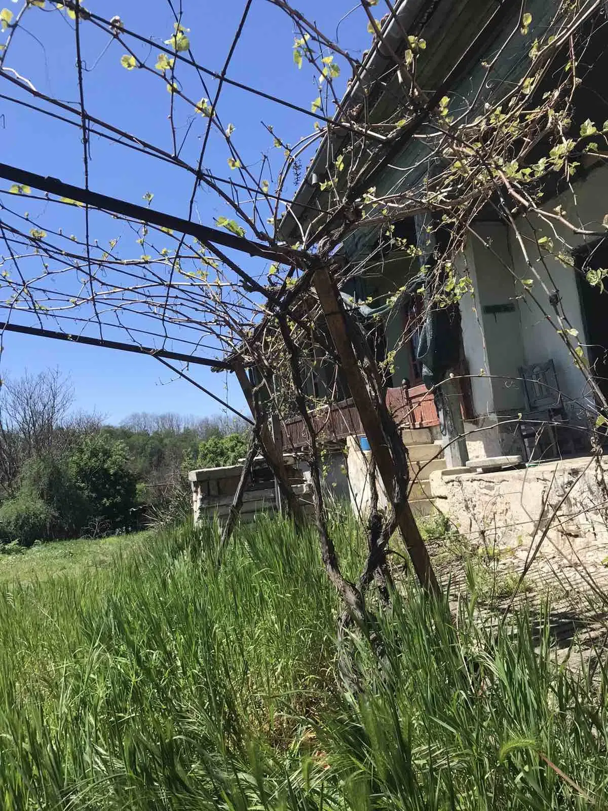 Authentiek 100 jaar oud landelijk huis + 1.006 m² grond in Glavan, Silistra - Bulgarije