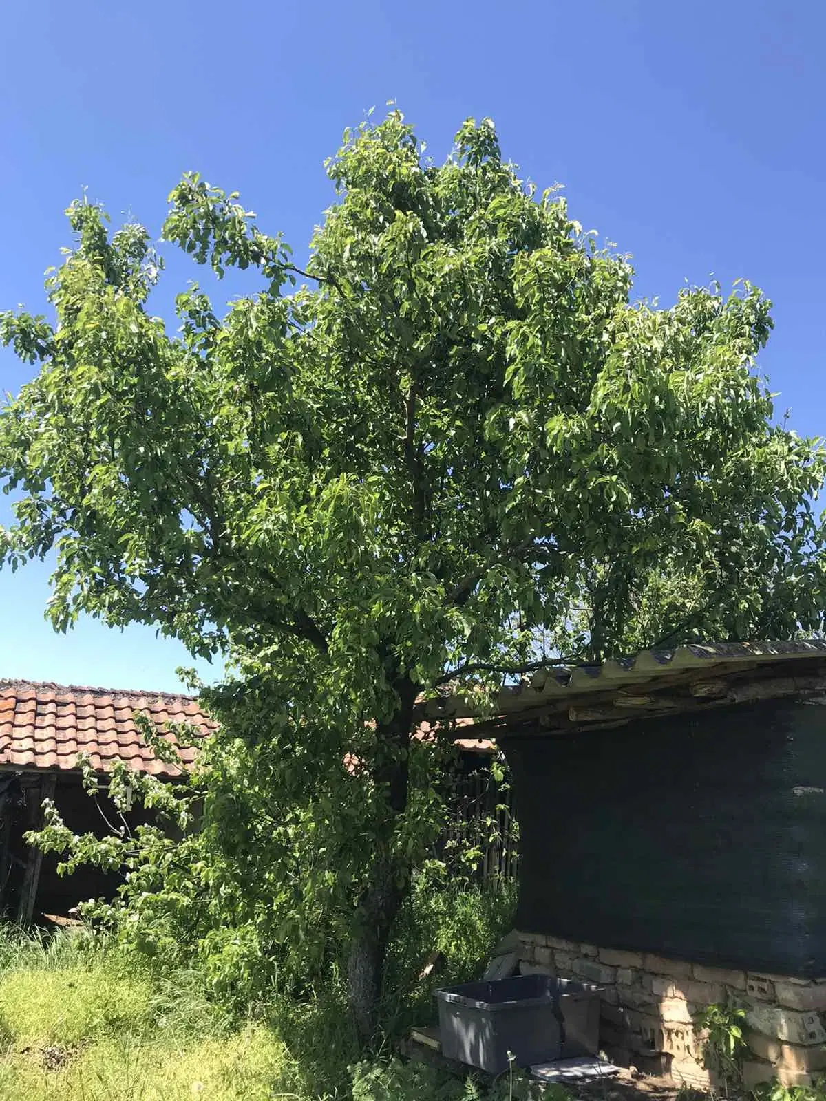 Authentiek 100 jaar oud landelijk huis + 1.006 m² grond in Glavan, Silistra - Bulgarije
