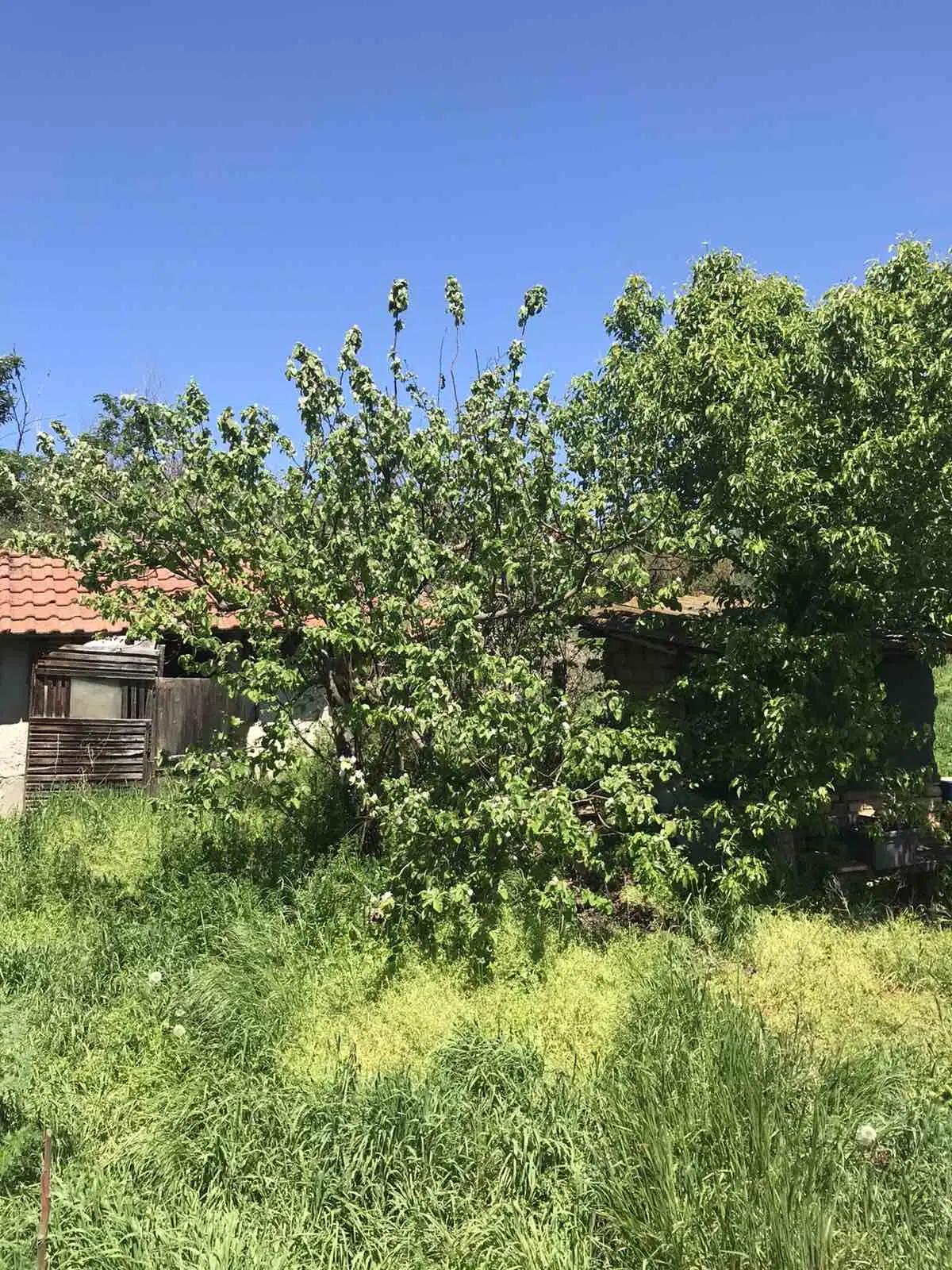 Authentiek 100 jaar oud landelijk huis + 1.006 m² grond in Glavan, Silistra - Bulgarije