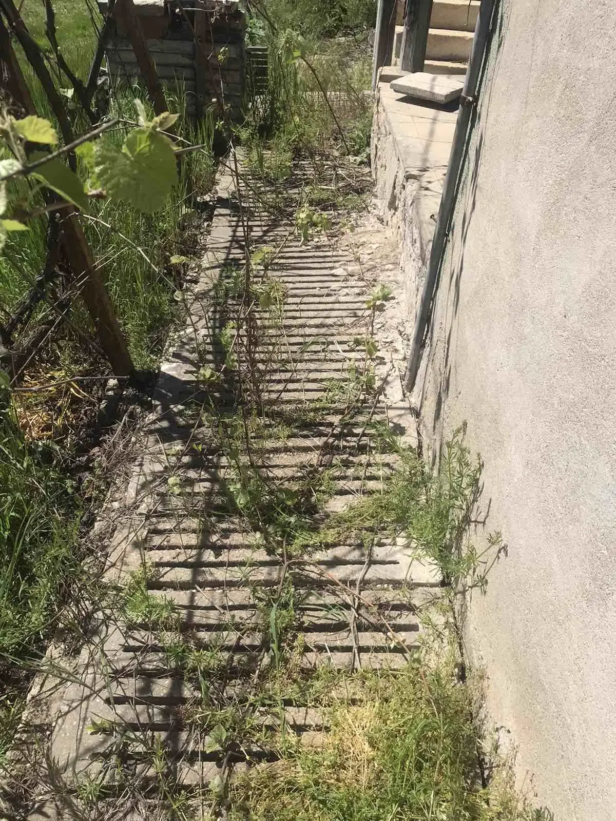 Authentiek 100 jaar oud landelijk huis + 1.006 m² grond in Glavan, Silistra - Bulgarije