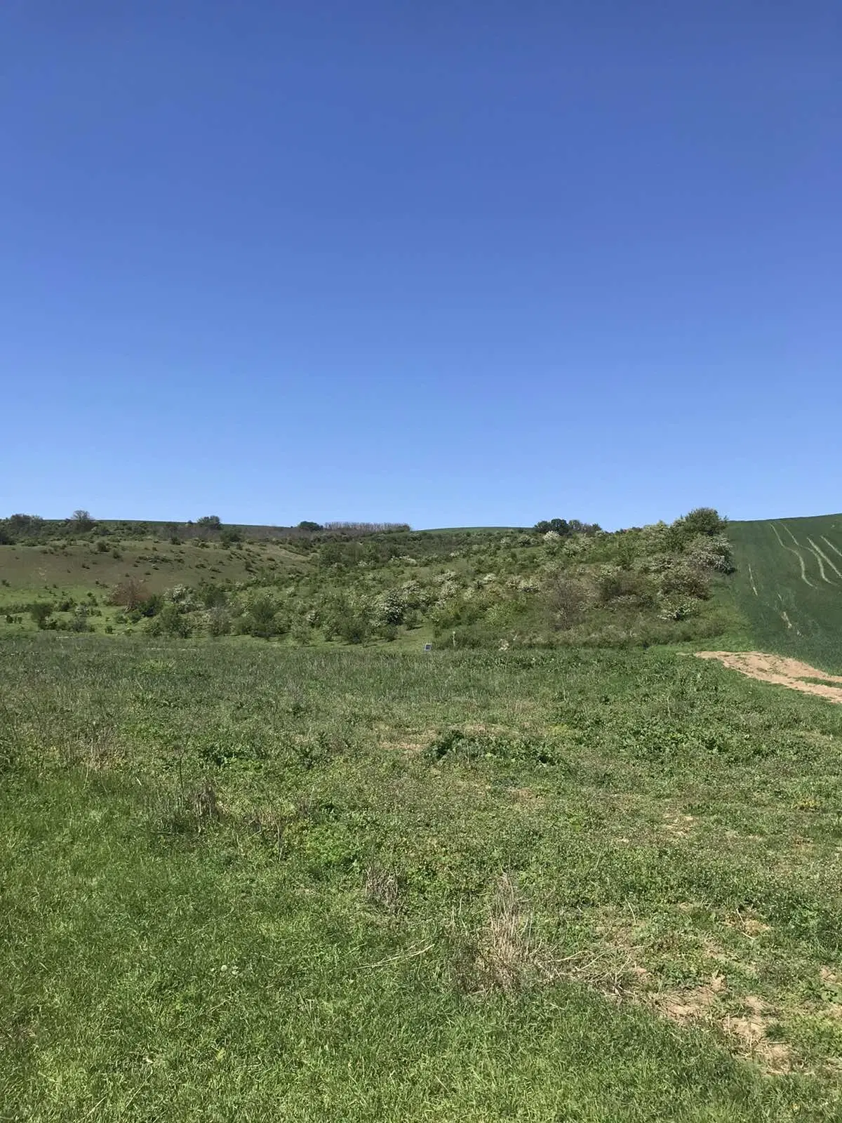 Authentiek 100 jaar oud landelijk huis + 1.006 m² grond in Glavan, Silistra - Bulgarije