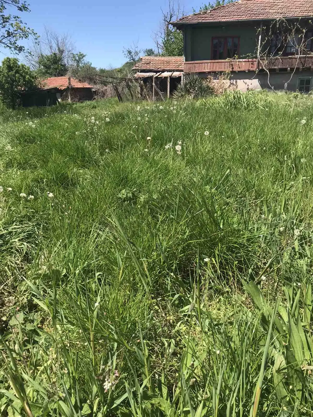 Authentiek 100 jaar oud landelijk huis + 1.006 m² grond in Glavan, Silistra - Bulgarije