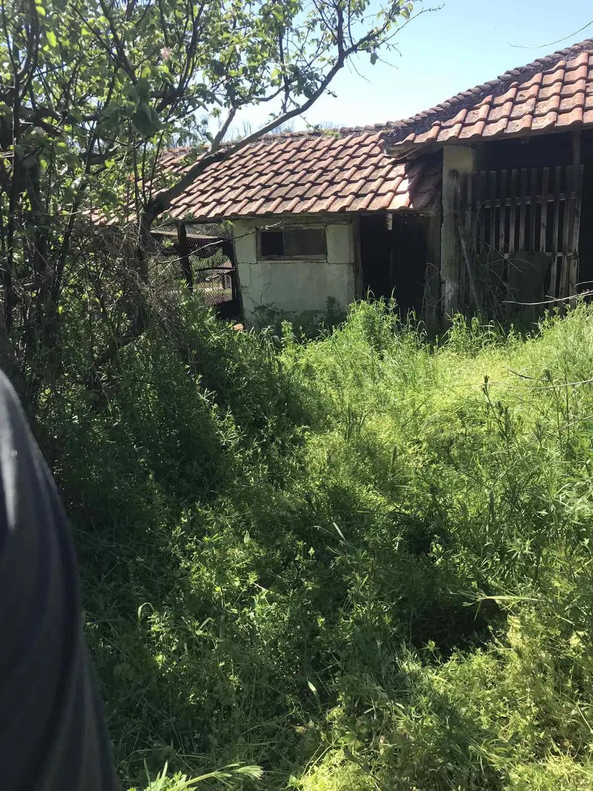 Authentiek 100 jaar oud landelijk huis + 1.006 m² grond in Glavan, Silistra - Bulgarije
