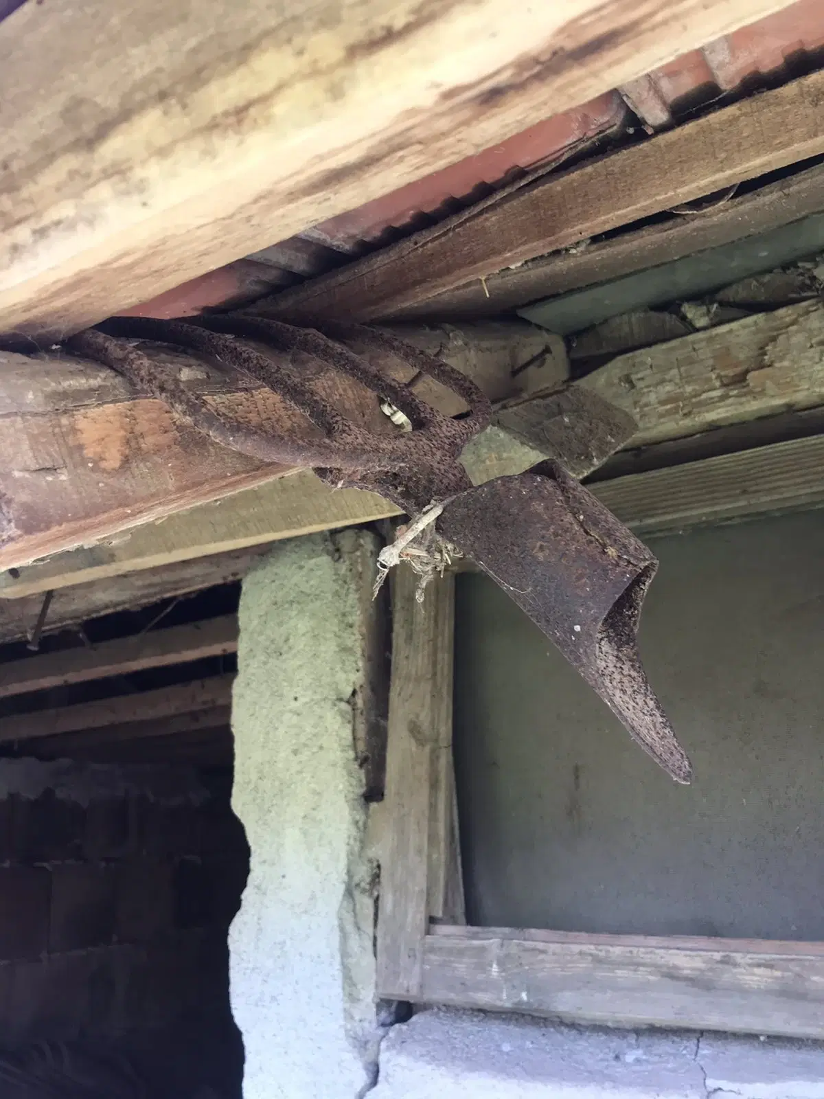 Authentiek 100 jaar oud landelijk huis + 1.006 m² grond in Glavan, Silistra - Bulgarije