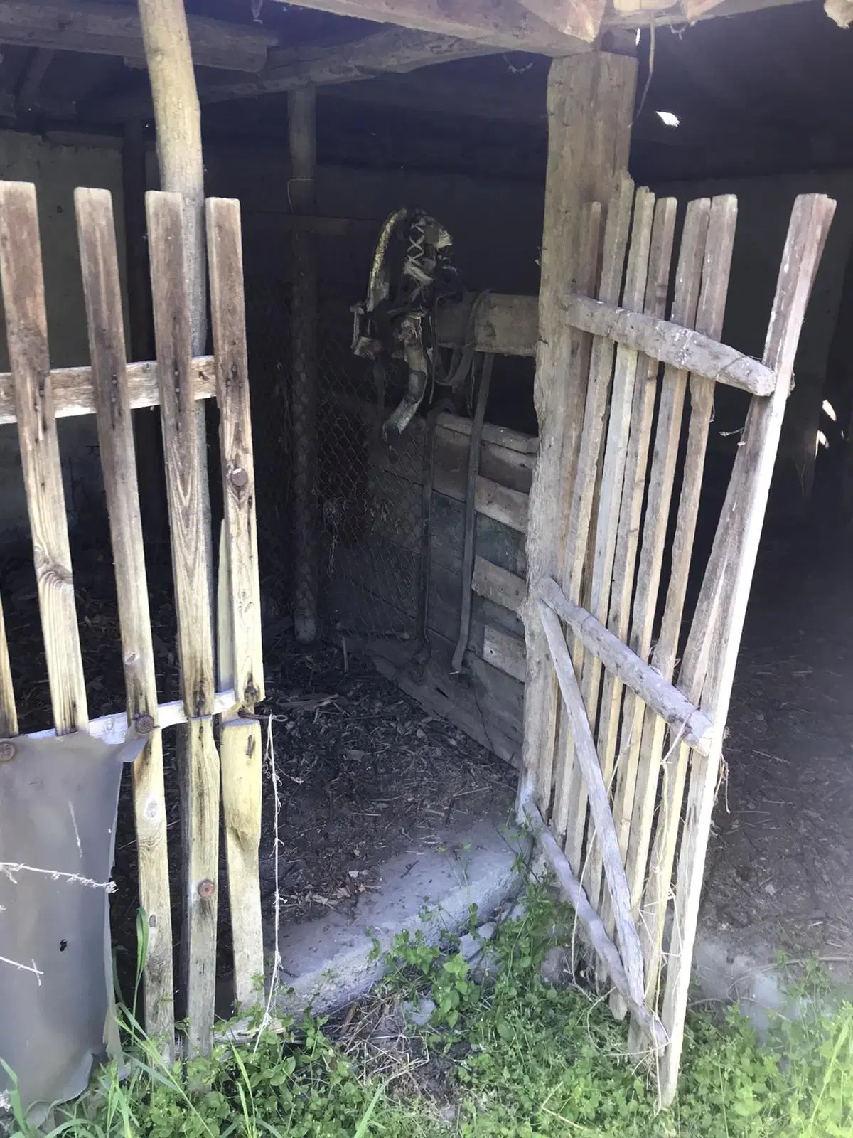 Authentiek 100 jaar oud landelijk huis + 1.006 m² grond in Glavan, Silistra - Bulgarije