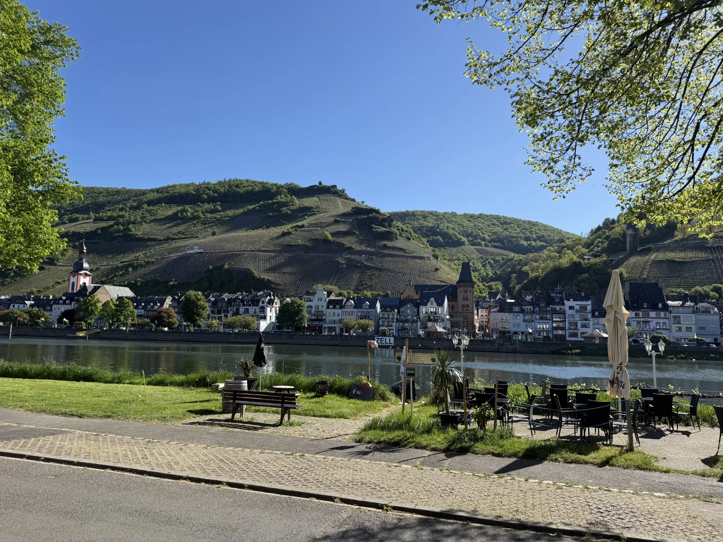 Wijngaard van totaal 2.482 m² met Riesling, gelegen in Zell, Cochem - Duitsland