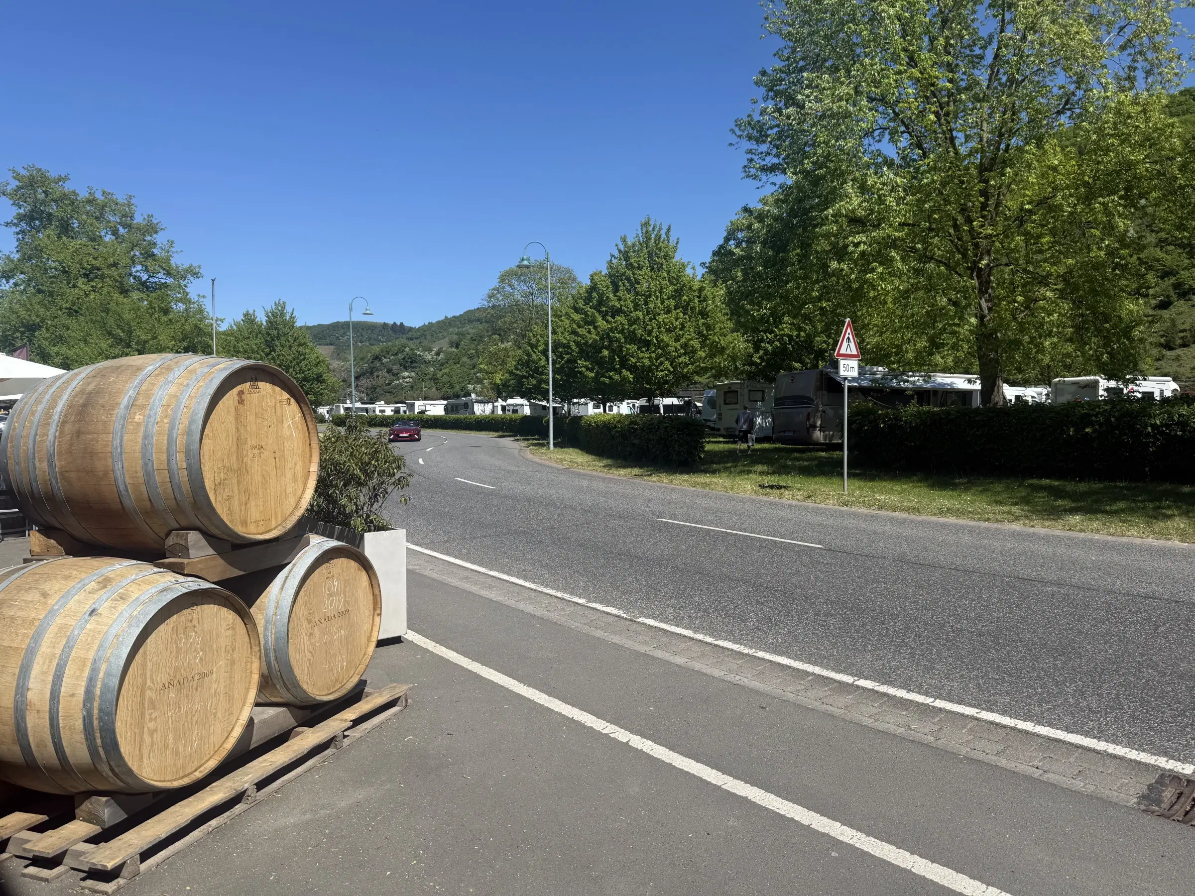 Wijngaard van totaal 2.482 m² met Riesling, gelegen in Zell, Cochem - Duitsland