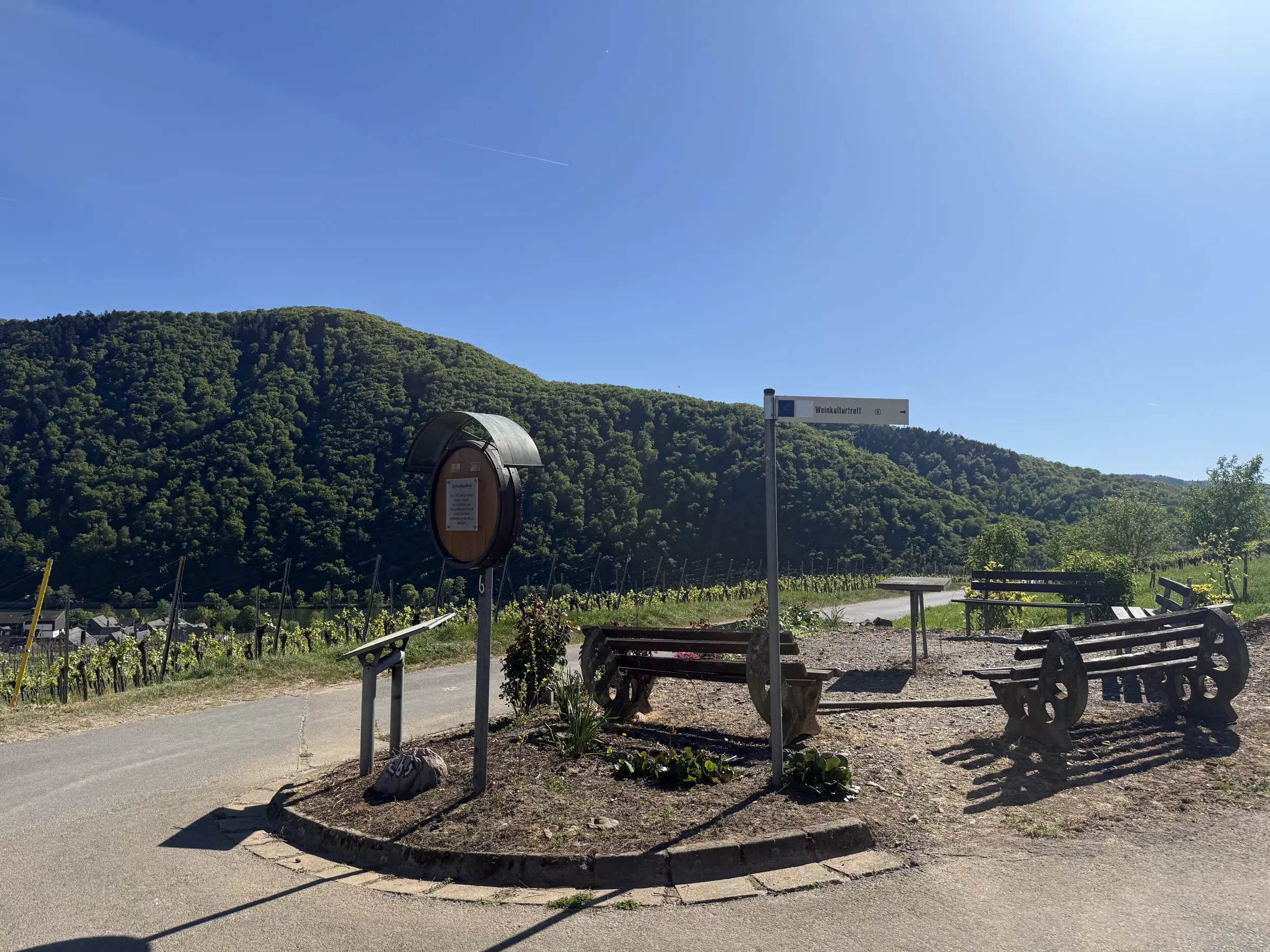 Wijngaard van totaal 2.482 m² met Riesling, gelegen in Zell, Cochem - Duitsland