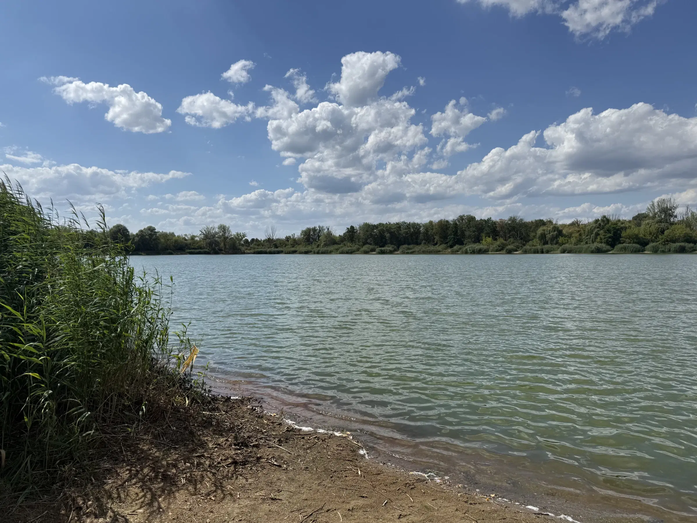 Woon- en werkpand op 505 m² perceel in Prettin, Annaburg - Duitsland