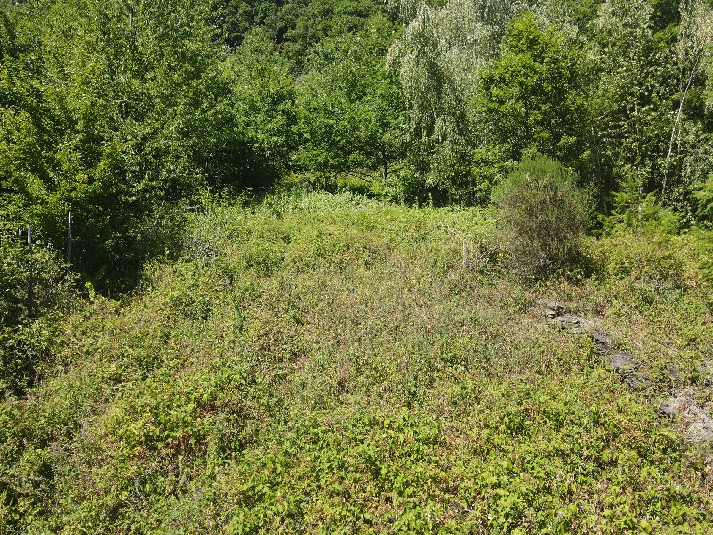 Voormalig eigendomswijngaardperceel van 1.271 m² in Zell, Cochem - Duitsland
