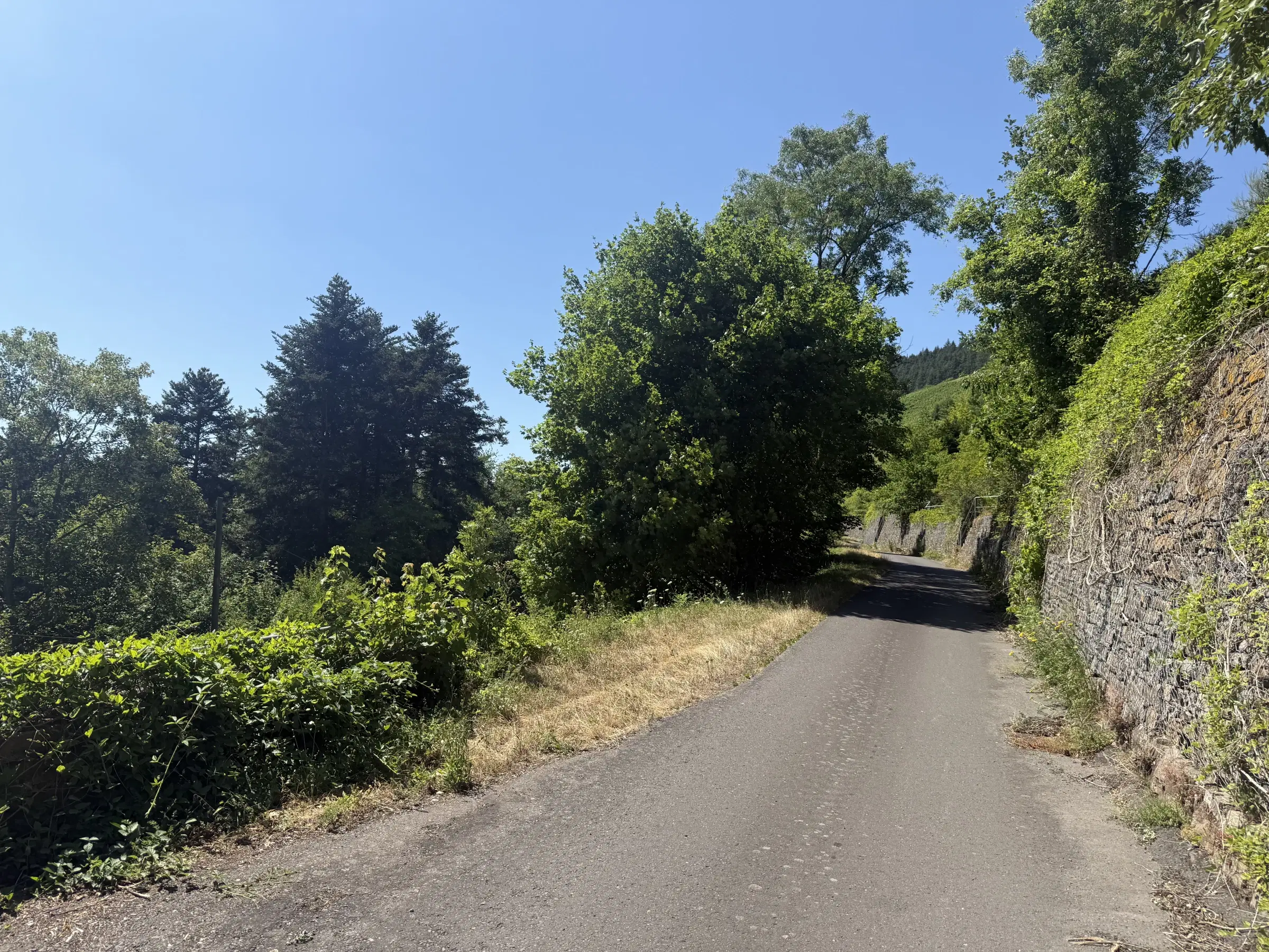 Voormalig eigendomswijngaardperceel van 1.271 m² in Zell, Cochem - Duitsland