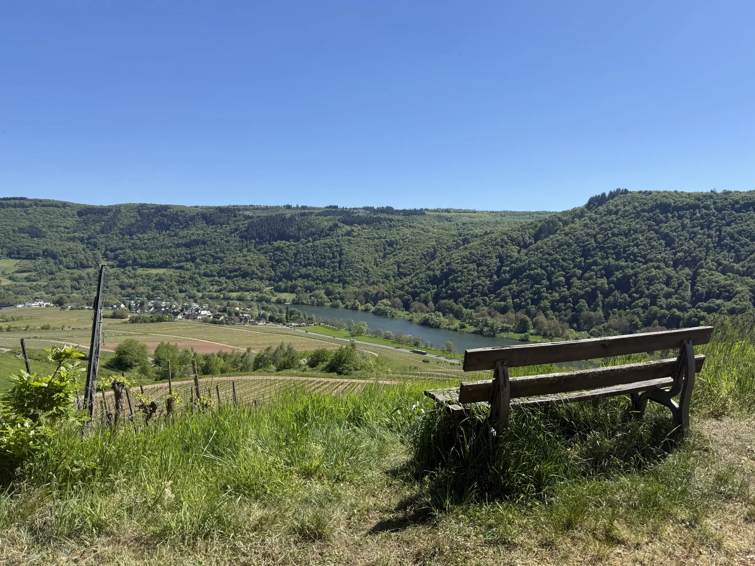 Voormalig eigendomswijngaardperceel van 1.271 m² in Zell, Cochem - Duitsland