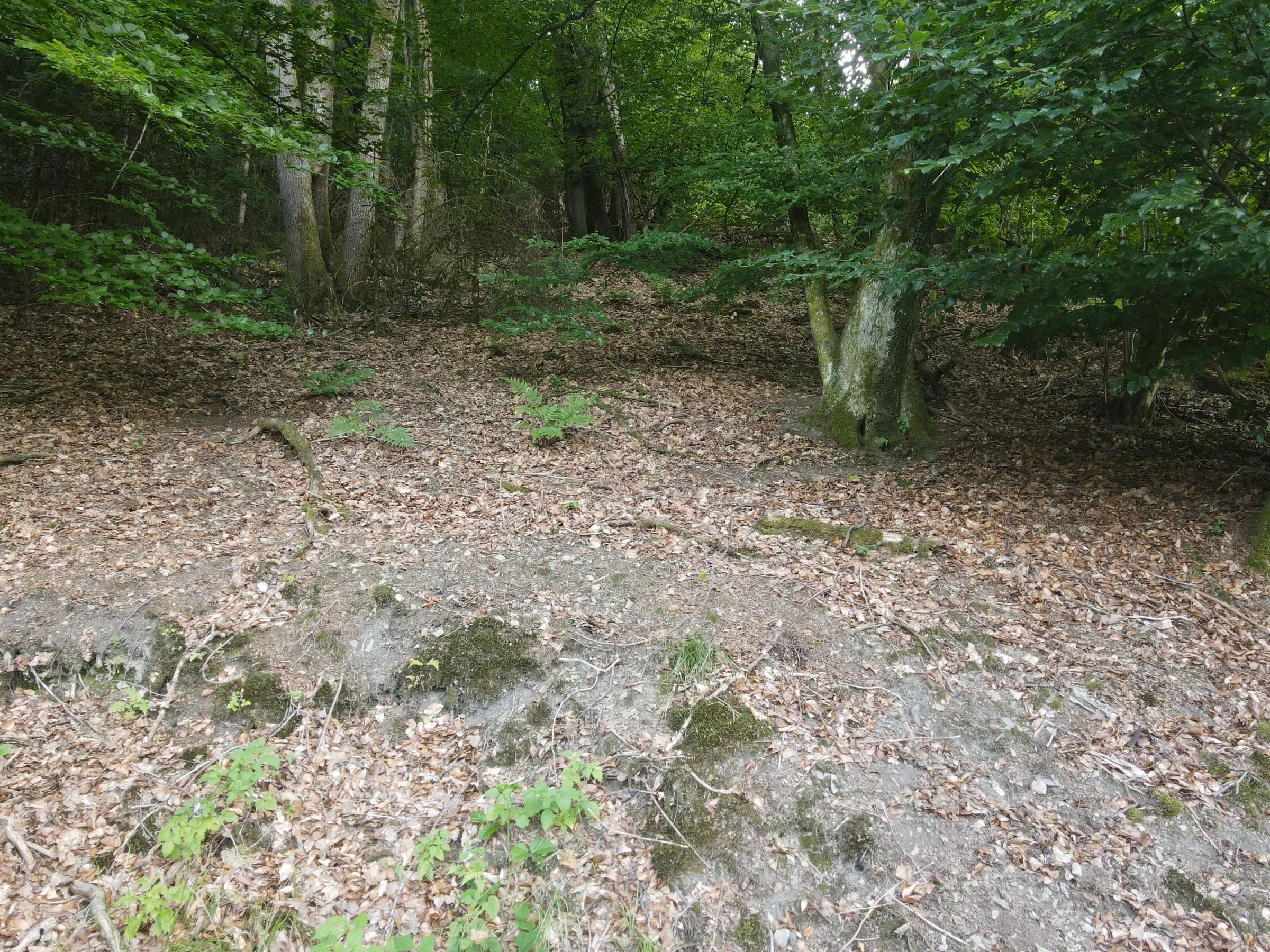 701 m² eigendomsperceel aan de rand van Gummersbach, nabij Winterberg - Duitsland