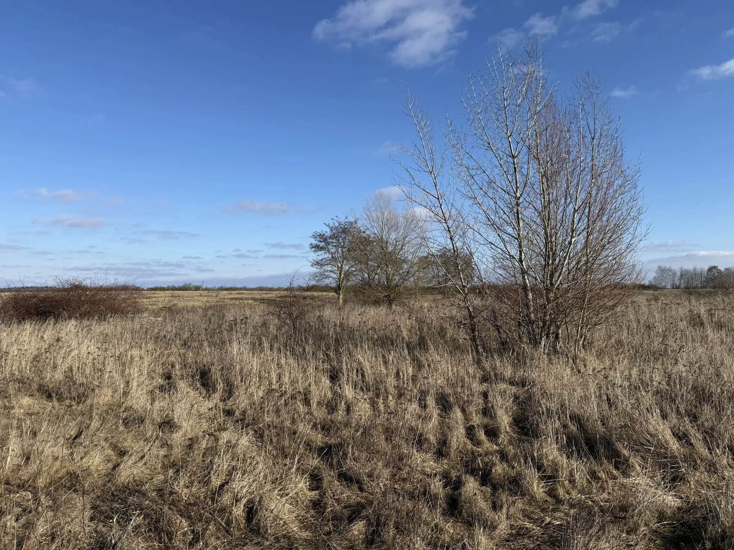 7.234 m² eigendomsterrein in Emden - Duitsland